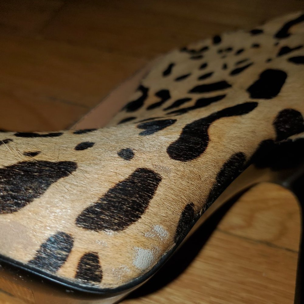 Steve Madden Leopard print booties - Picture 5 of 6